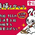 ミリオン野市店