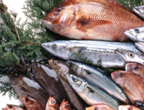 鳴門魚市の画像